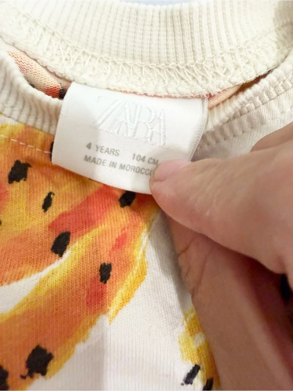 Zara 4T boy set jaguar matching set